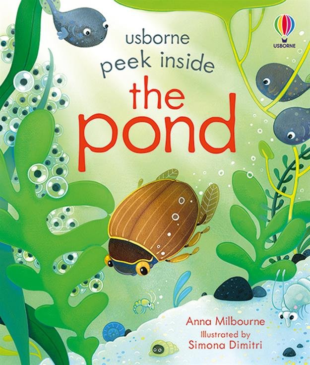 Peek Inside the Pond